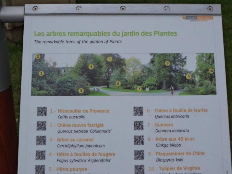 Apartament Le Grey-Jardin Des Plantes-Centre Des Congres Angers Zewnętrze zdjęcie